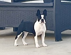 Abby