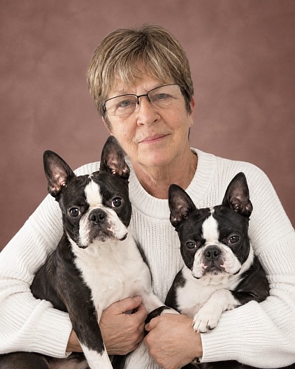 Our dogs